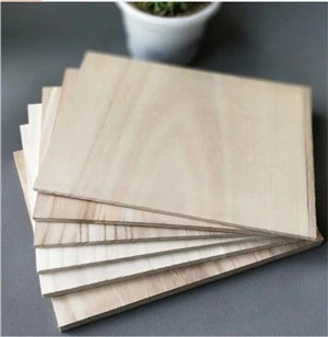 فروش چوب پائولونیا